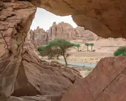 Shaden Resort thumbnail